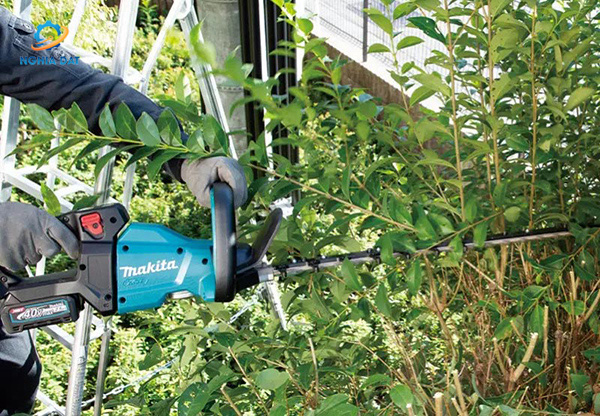Máy tỉa hàng rào dùng pin(600mm/bl)(40vmax) MA-UH006GZ01 Makita
