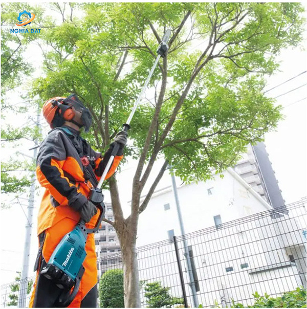 Máy cưa cành trên cao dùng pin(18vx2) MA-DUA300ZB Makita