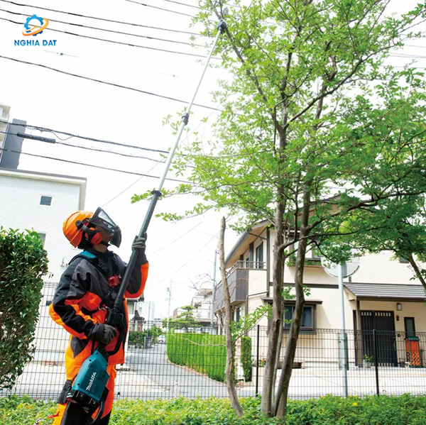 Máy cưa cành trên cao dùng pin(18vx2) MA-DUA301ZB Makita