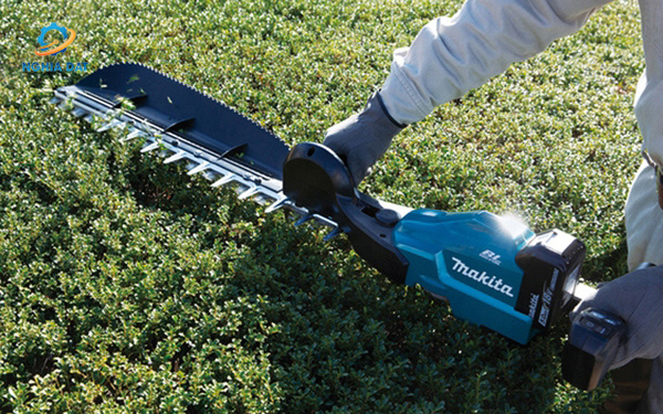 Máy tỉa hàng rào dùng pin(500mm/lưỡi đơn/bl)(18v) MA-DUH504SZ Makita