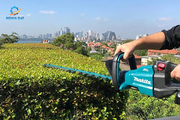Máy tỉa hàng rào dùng pin(600mm/bl)(18v) MA-DUH602Z Makita