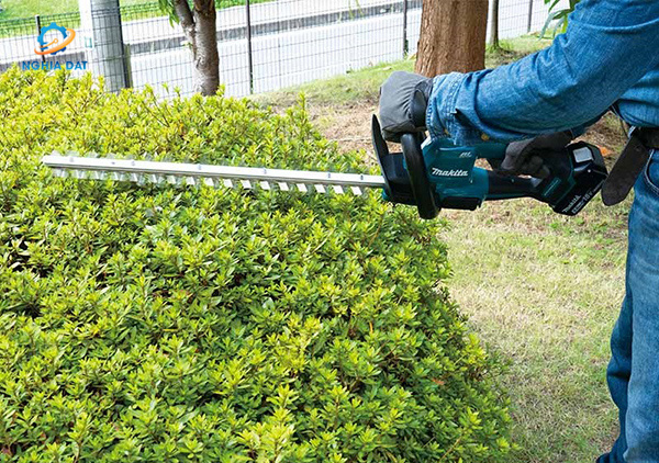 Máy tỉa hàng rào dùng pin(600mm/bl)(18v) MA-DUH606Z Makita