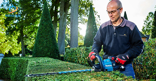 Máy tỉa hàng rào dùng pin(750mm/bl)(18v) MA-DUH752Z Makita