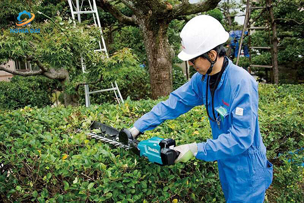 Máy tỉa hàng rào dùng pin(750mm/bl)(18v) MA-DUH754SZ Makita