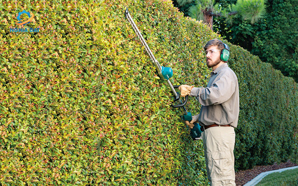 Máy tỉa hàng rào dùng pin(600mm/bl)(18v) MA-DUN600LZ Makita