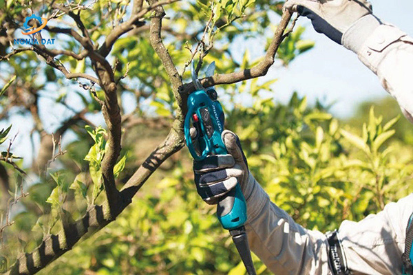 Máy cắt cành dùng pin(18vx2) MA-DUP361RM2 Makita